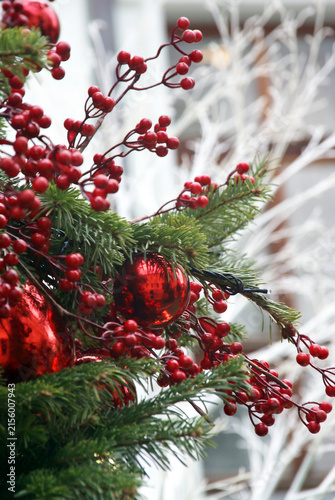 Foto New Year's red berries against a background of white trees