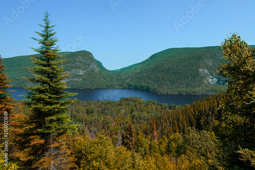 Typical Canadian landscape