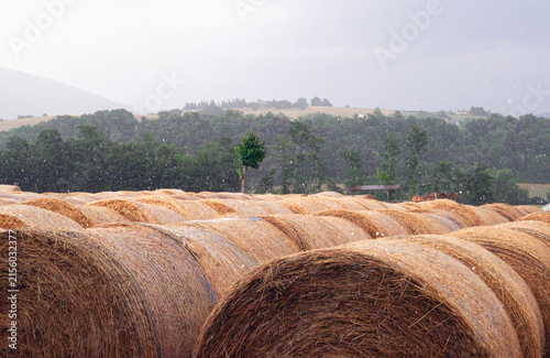 Bales of Hay during Hailstorm