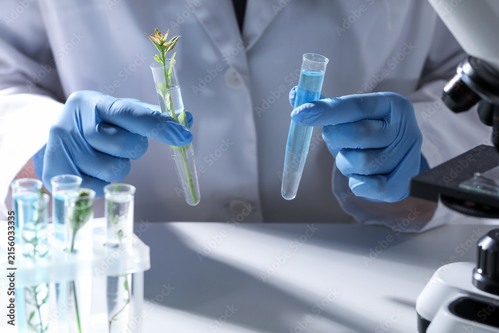 Fototapeta premium Biochemistry. Scientist holding sample of plant and test tube with liquid at white table indoors, closeup
