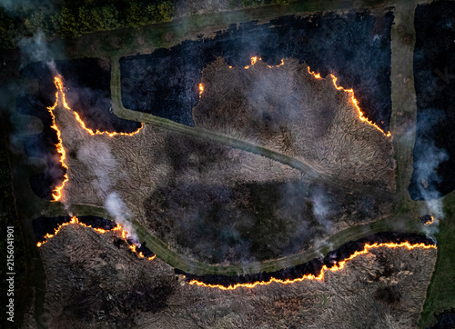 Fotografie Overhead top-down aerial drone view of a prescribed burn fire line consuming dry brush and grass in a managed field