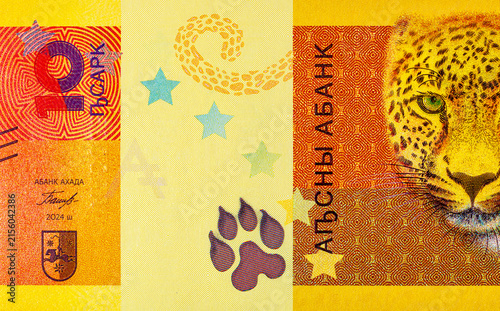 Obraz na plátně 10 Apsar Abkhazia with the image of the Caucasian leopard and a bronze axe