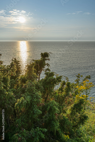 Sunset over the Baltic Sea with juniper at Panga, Saaremaa, Estonia