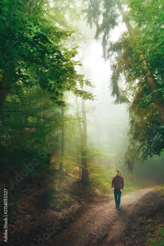 Hiker enjoys a walk in a beautiful lush green forest with fog and atmosphere. Man casually walking on a scenic woodland path. 