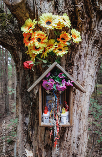 Фотография Catholic wayside shrine attached to an old tree in a forest near Wyszkow, Poland
