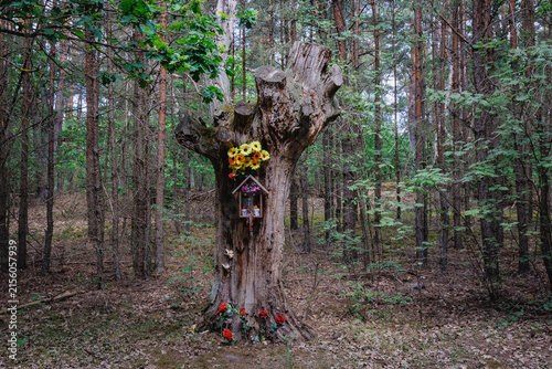 Картината върху платно Catholic wayside shrine attached to an old tree in a forest near Wyszkow, Poland