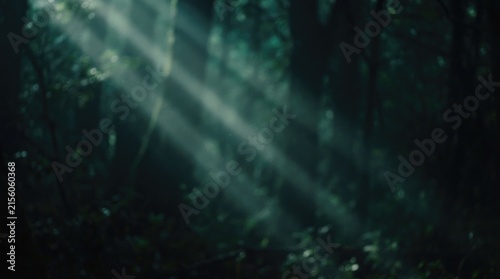 Konstfotografi Dramatic light rays descend through a dark forest canopy creating a mystical atm