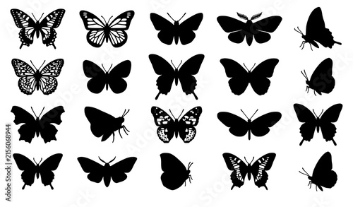 20 Unique Butterfly Silhouettes Black White Monochrome Vector Set