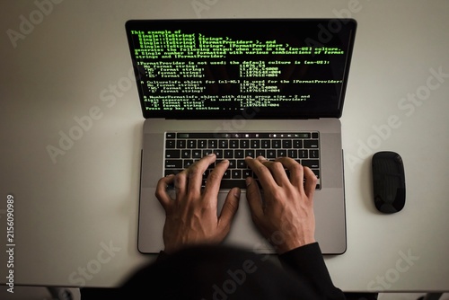 Cuadro en lienzo Programmer writing code on laptop with terminal interface screen and computer mo