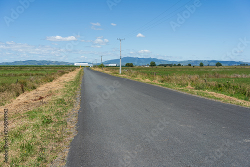Rural Road Through Farmland Near Te Awamutu