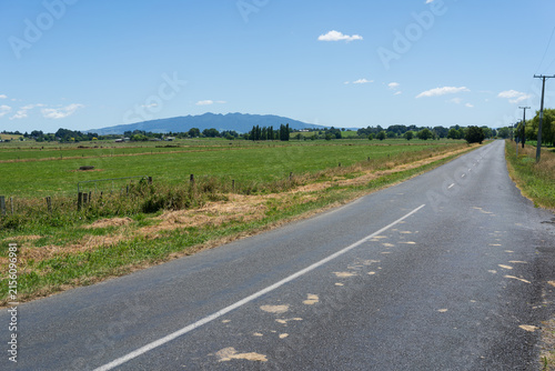 Rural Road Beside Green Farmland Near Te Awamutu