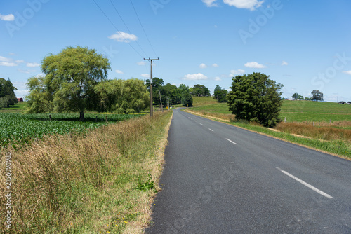 Rural Road Through Farmland Near Te Awamutu