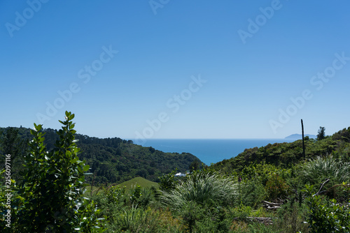 Coastal View From Waihī Beach Trig Track