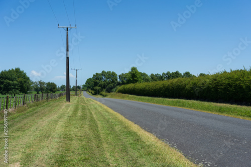Rural country road through farmland in New Zealand