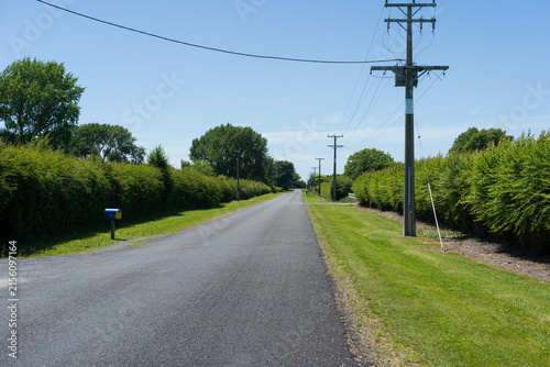 Rural country road through farmland in New Zealand