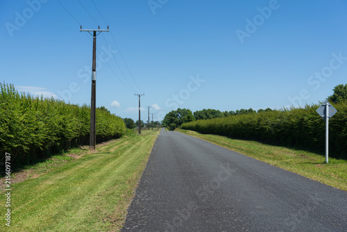 Rural country road through farmland in New Zealand