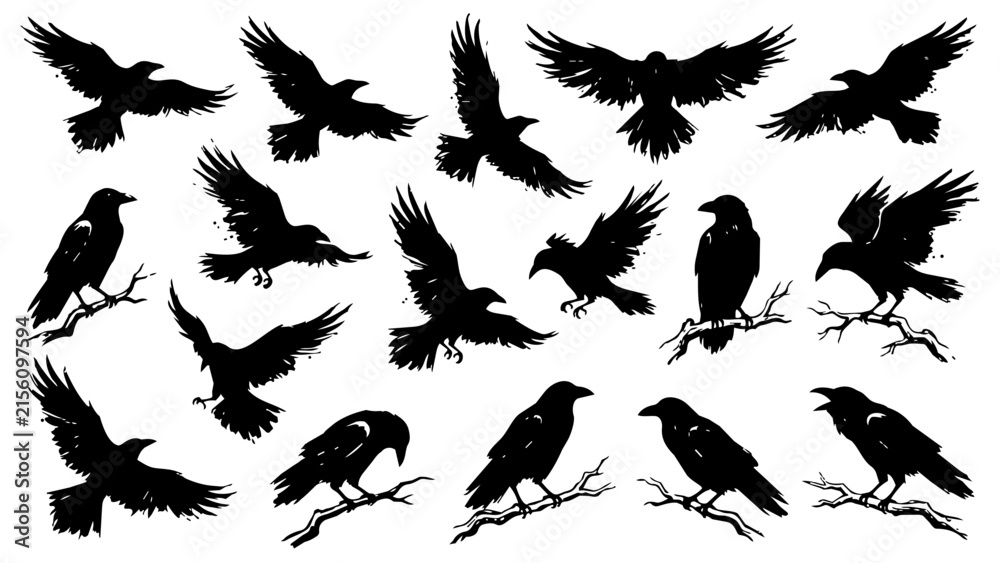 Obraz premium Crow and Raven Hand Drawn Black Silhouette Vector Set