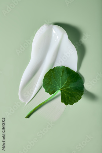 Centella asiatica leaf with white cosmetic cream smear on green background. Skincare product texture backdrop