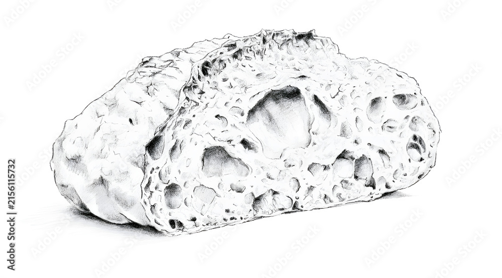 Obraz premium A detailed pencil drawing of a rustic sourdough with a visible open crumb structure