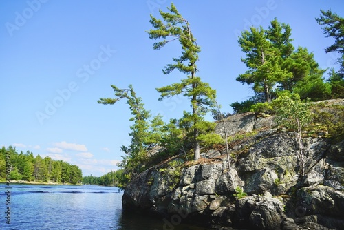 Georgian Bay Pines on Granite shoreline, Georgian bay Ontario Canada