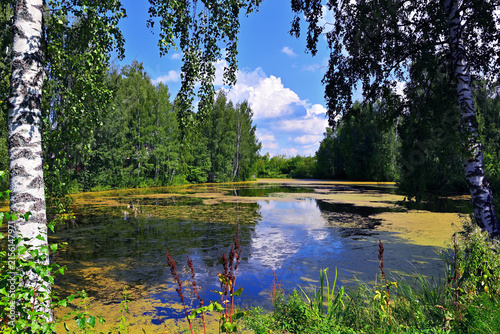 A small river surrounded by forest.