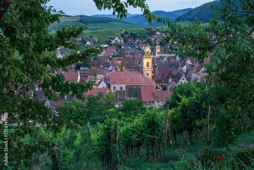 Blue Hour Summer Panorama of Riquewihr Village and Vineyards in Alsace, France