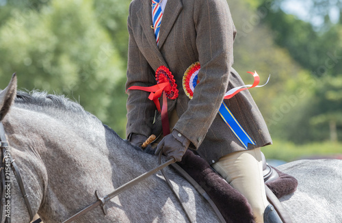 lose-up of an equestrian rider mounted on a grey horse wearing championship rosettes and ribbons after winning a championship at a horse show. 