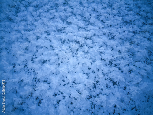 Delicate Blue Ice Crystal Artwork