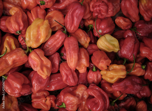 Background Of Fresh Organic Hot Peppers