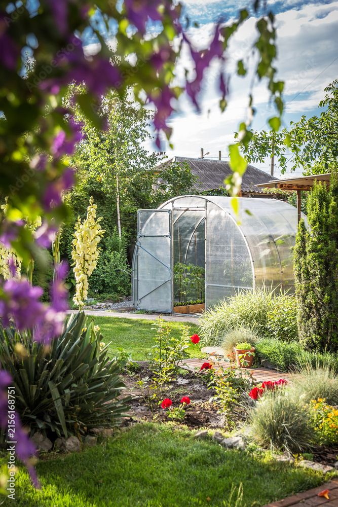 Fototapeta premium Greenhouse in back garden with open door