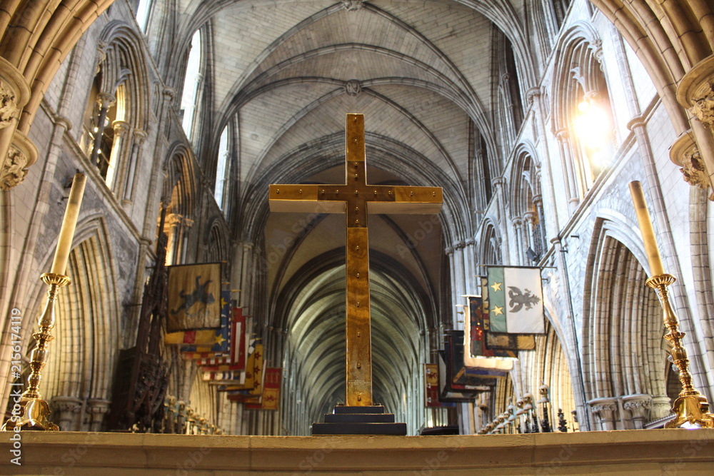Fototapeta premium Dublin Catholic Cathedral