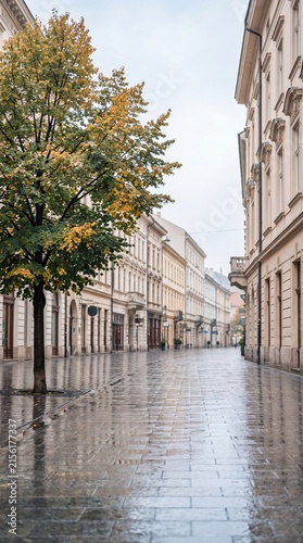 Empty wet street in historic European city during autumn rain