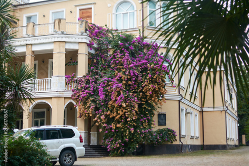 Beige building with columns and arches. Huge bush with purple and yellow flowers by the entrance. White SUV parked nearby. Palm leaves in the foreground. Southern resort architecture.