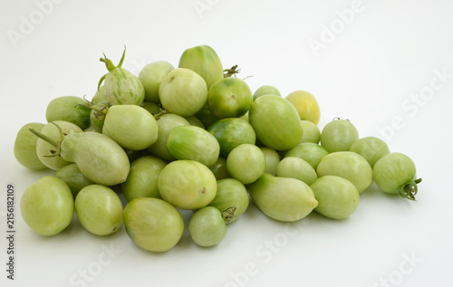 Many Unripe Green Tomatoes   Harvested crop