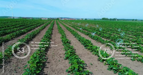 Precision Agriculture Field Monitoring with Digital Crop Analytics Interface. Digital Agriculture Visualization for Precision Crop Management.