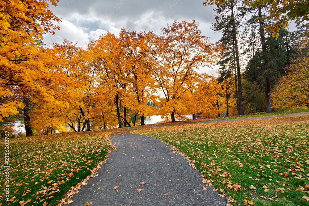 Obraz premium A small waterfront park with paved walking trail along the Spokane River at Autumn with overcast skies in Spokane Valley, Washington State.