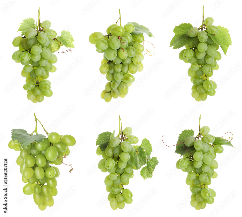 Naklejka premium Fresh grapes. Many clusters isolated on white, set