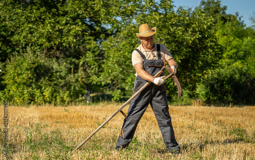 фотографія A farmer uses a scythe to cut grass in a field