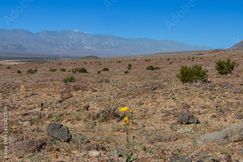 Death Valley National Park, California