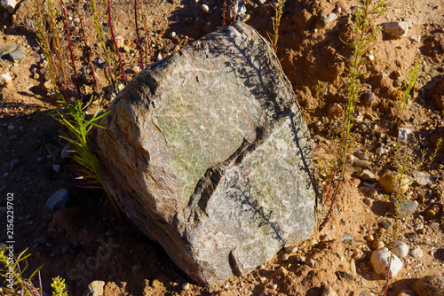 Obraz na plátně Textured epidotized granite gneiss boulder showing greenish mineral deposits on