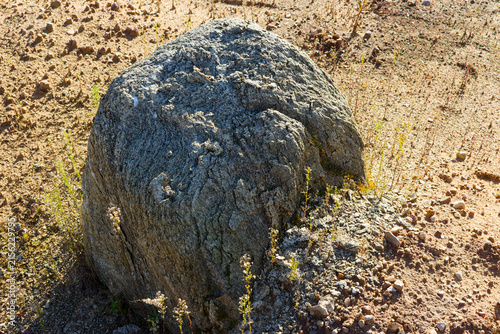 Canvastavla Large granite-gneiss boulder crumbling into coarse sandy grit and weathered debr