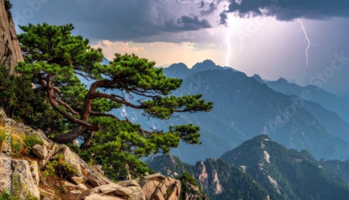 Lightning storm over mountain peaks with pine tree.