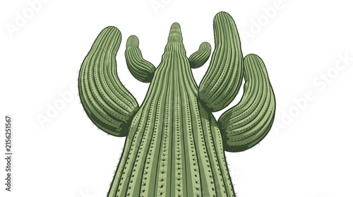 Giant Saguaro Cactus Low Angle — Sage Olive Rib Spine Texture Bold Flat Vector