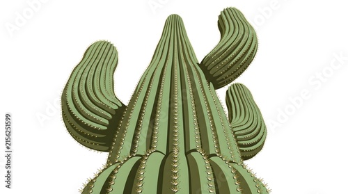 Giant Saguaro Cactus Low Angle — Sage Olive Rib Spine Texture Bold Flat Vector