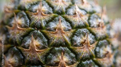 Macro view of green pineapple rind scales with dew droplets and sharp natural textures