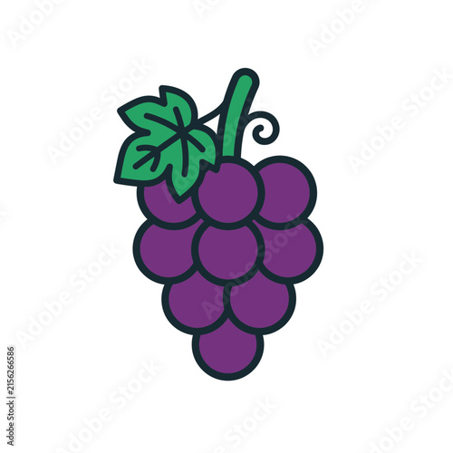 Isolated Purple Grape Cluster with Green Leaf and Stem