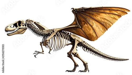Dinosaur skeleton of a carnivorous theropod species.
