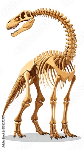 Two giraffes standing in natural grassland habitat.