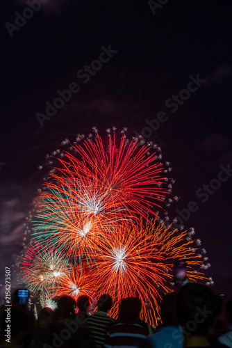 びわ湖大花火大会の夜空を彩る花火。滋賀県大津市で開催されたびわ湖大花火大会。琵琶湖の湖畔を舞台に、色鮮やかな花火が夏の夜空を彩る日本を代表する花火大会。
