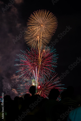 びわ湖大花火大会の夜空を彩る花火。滋賀県大津市で開催されたびわ湖大花火大会。琵琶湖の湖畔を舞台に、色鮮やかな花火が夏の夜空を彩る日本を代表する花火大会。
